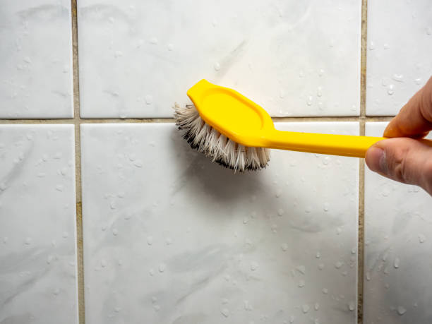 Best Fast Mold Removal  in Mansfield, LA
