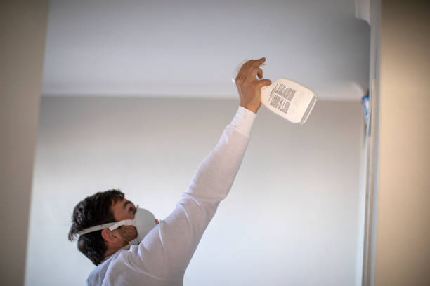 Best Certified Mold Removal  in Mansfield, LA
