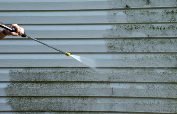 Best Commercial Mold Removal  in Mansfield, LA