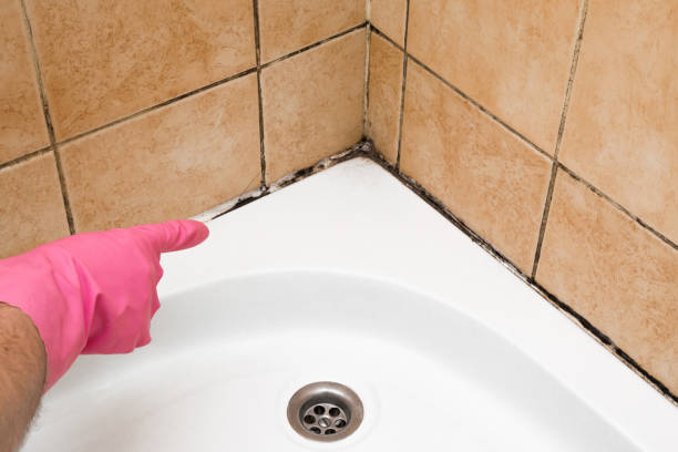 Best Mold Cleaning Services  in Mansfield, LA